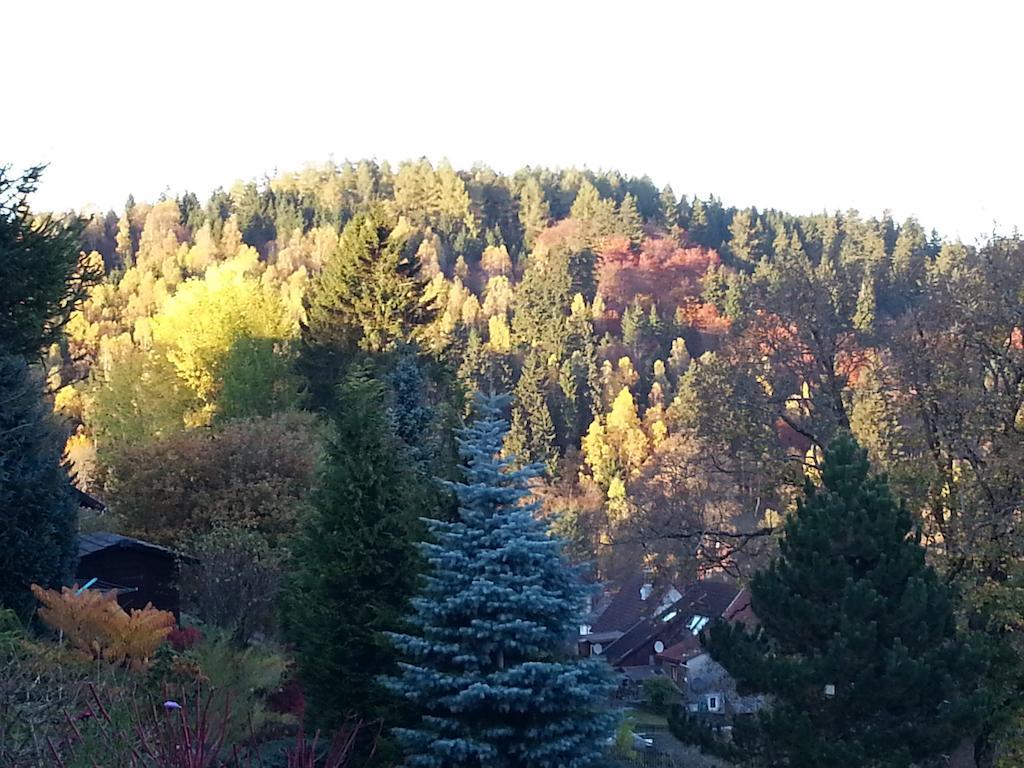 Pension Haus Petra Алтенау Екстериор снимка
